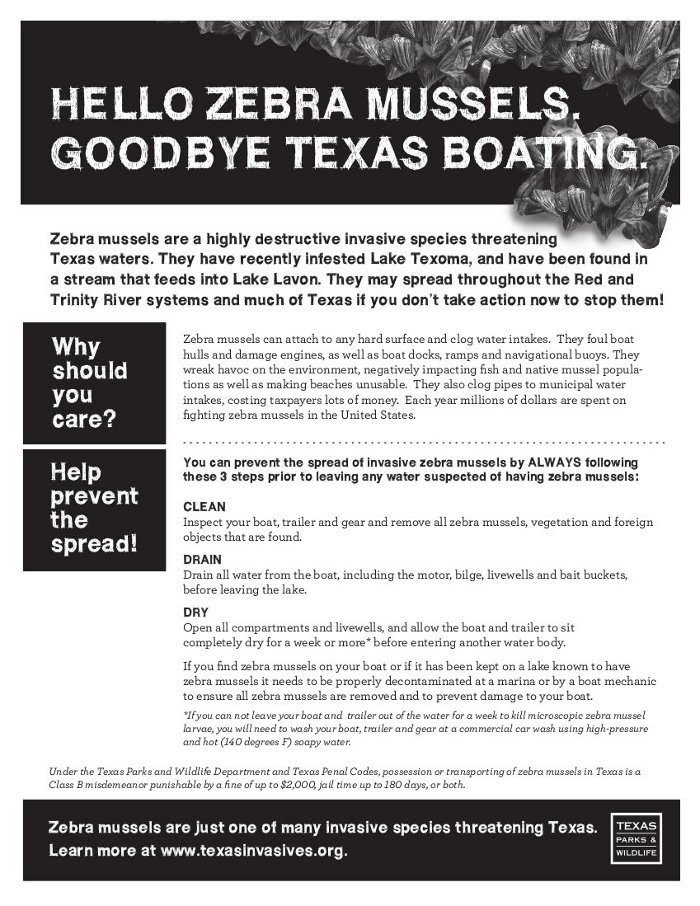 Zebra Mussels_flier2